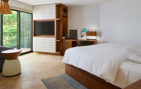 1 King Bed or 2 Queen Beds With Resort View